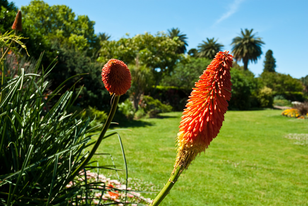 Image 6 - Centennial Park